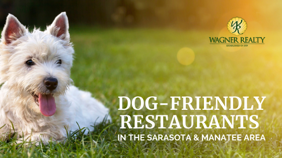 Dog Friendly Restaurants